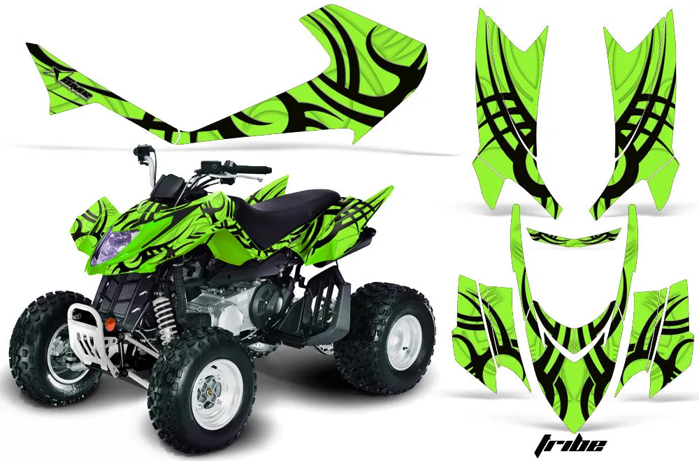 Arctic Cat DVX 400 Graphics