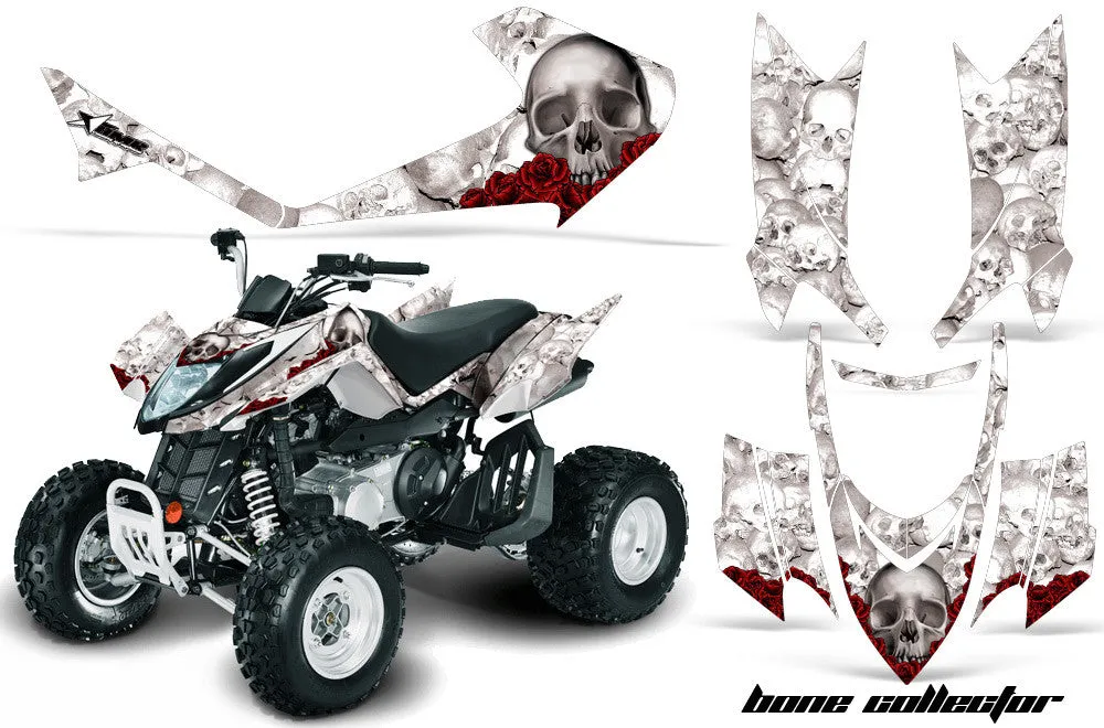 Arctic Cat DVX 400 Graphics