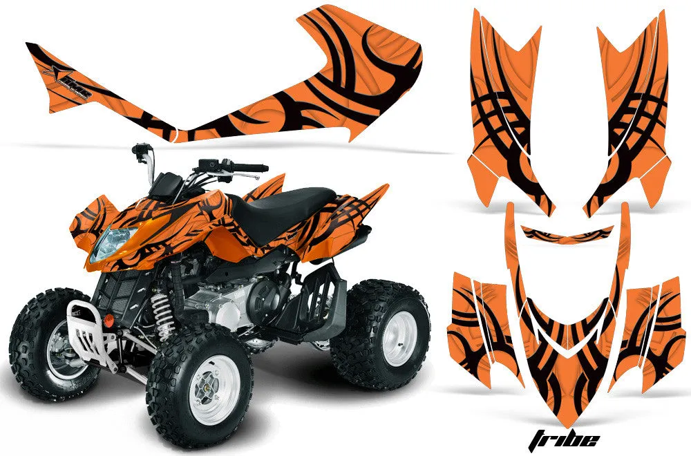 Arctic Cat DVX 400 Graphics