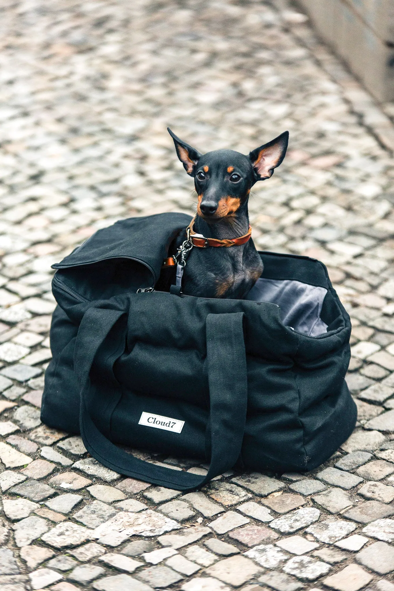 Cloud7, Canvas Dog Carrier, Bergamo Black