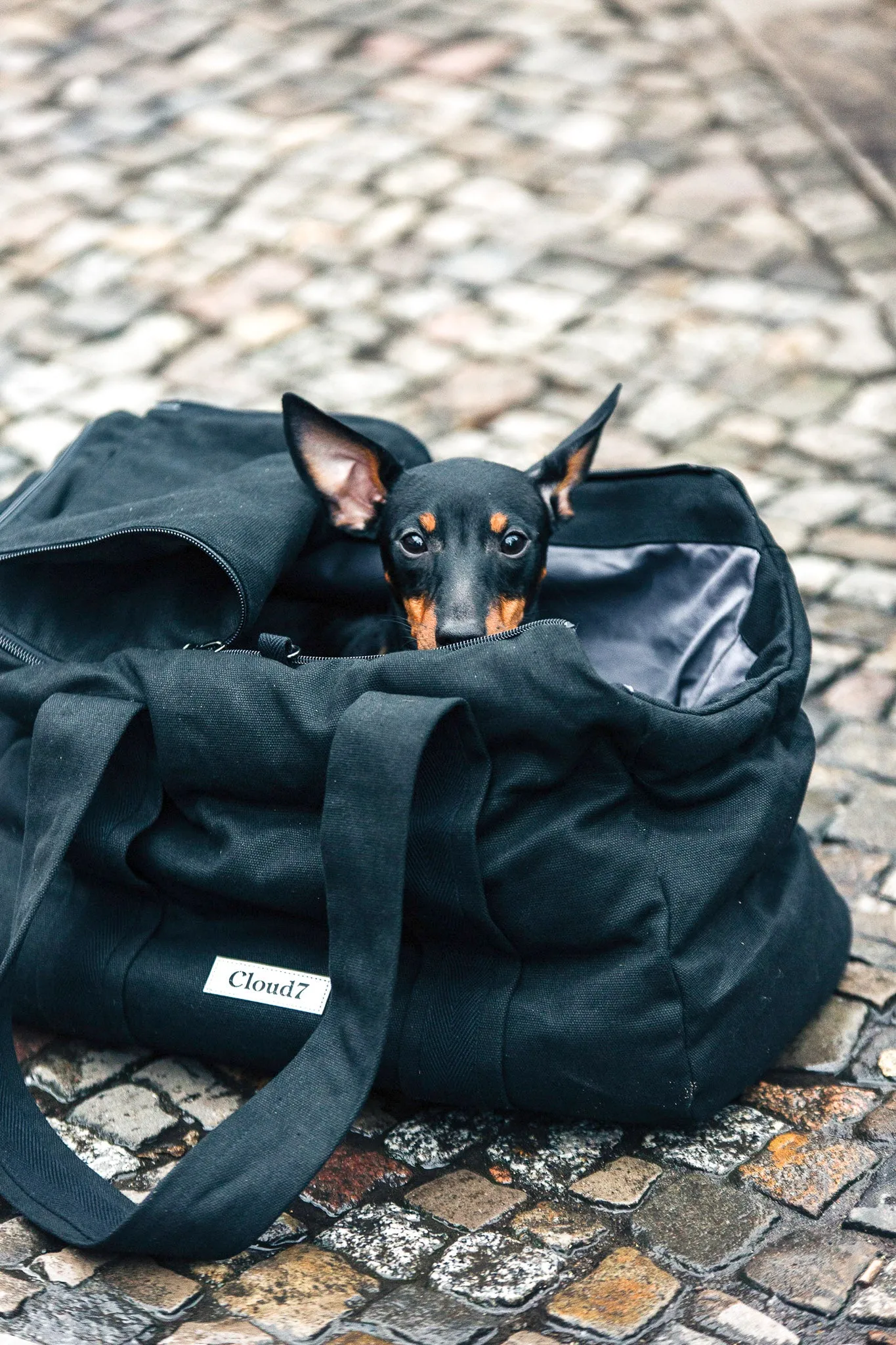 Cloud7, Canvas Dog Carrier, Bergamo Black