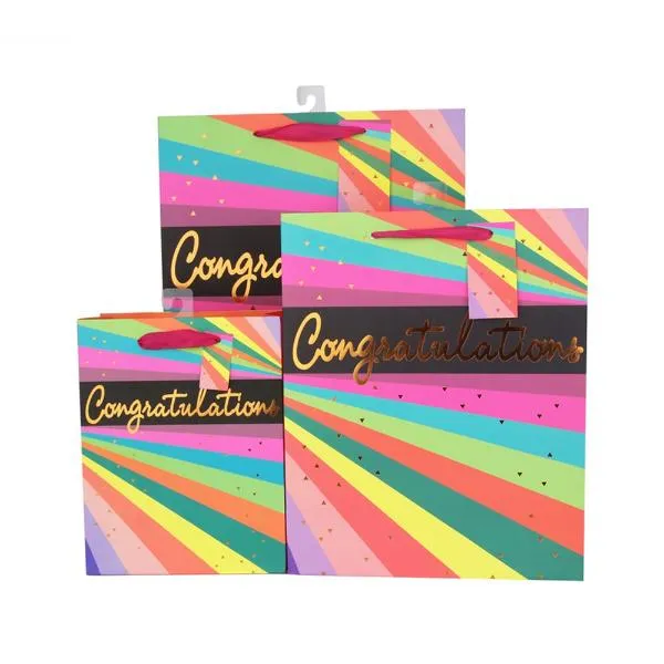 Large Neon Stripes Gift Bag - 26cm x 32cm x 12cm