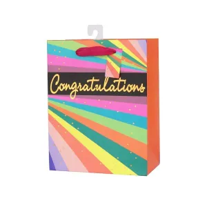 Large Neon Stripes Gift Bag - 26cm x 32cm x 12cm