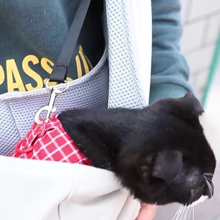 Pet Sling Bag