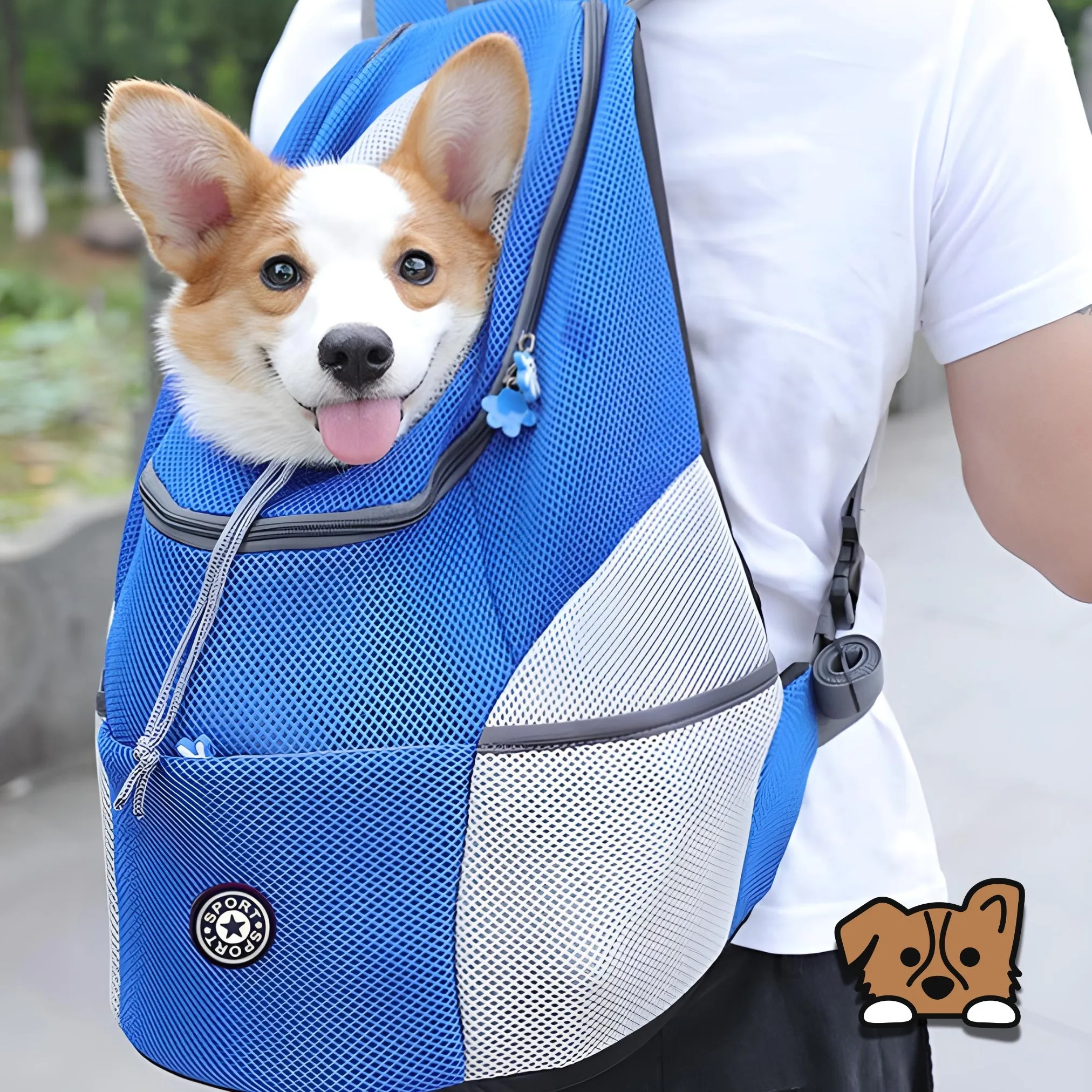 Pet Travel Carrier Bag