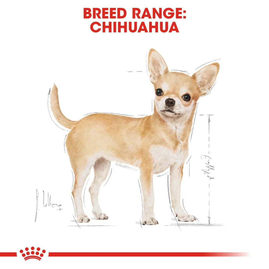 Royal Canin Chihuahua Pouches