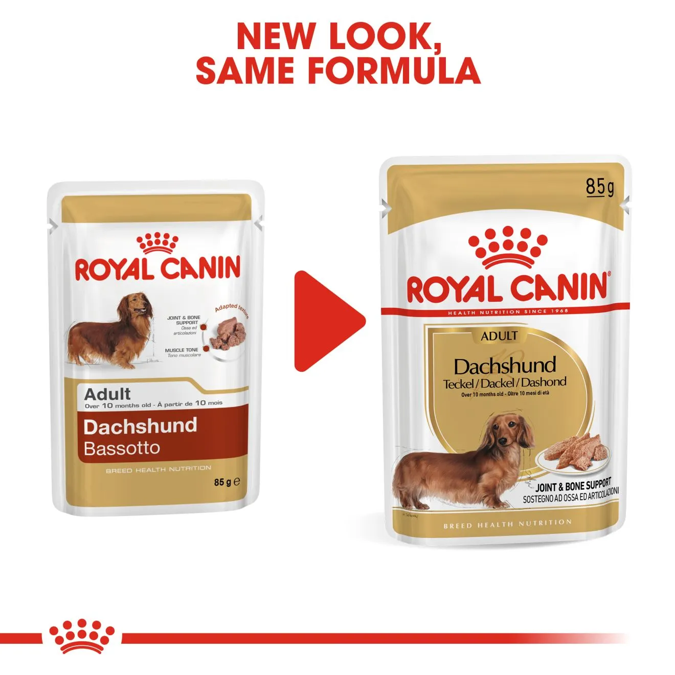 Royal Canin Dog Pouch - Dachshund