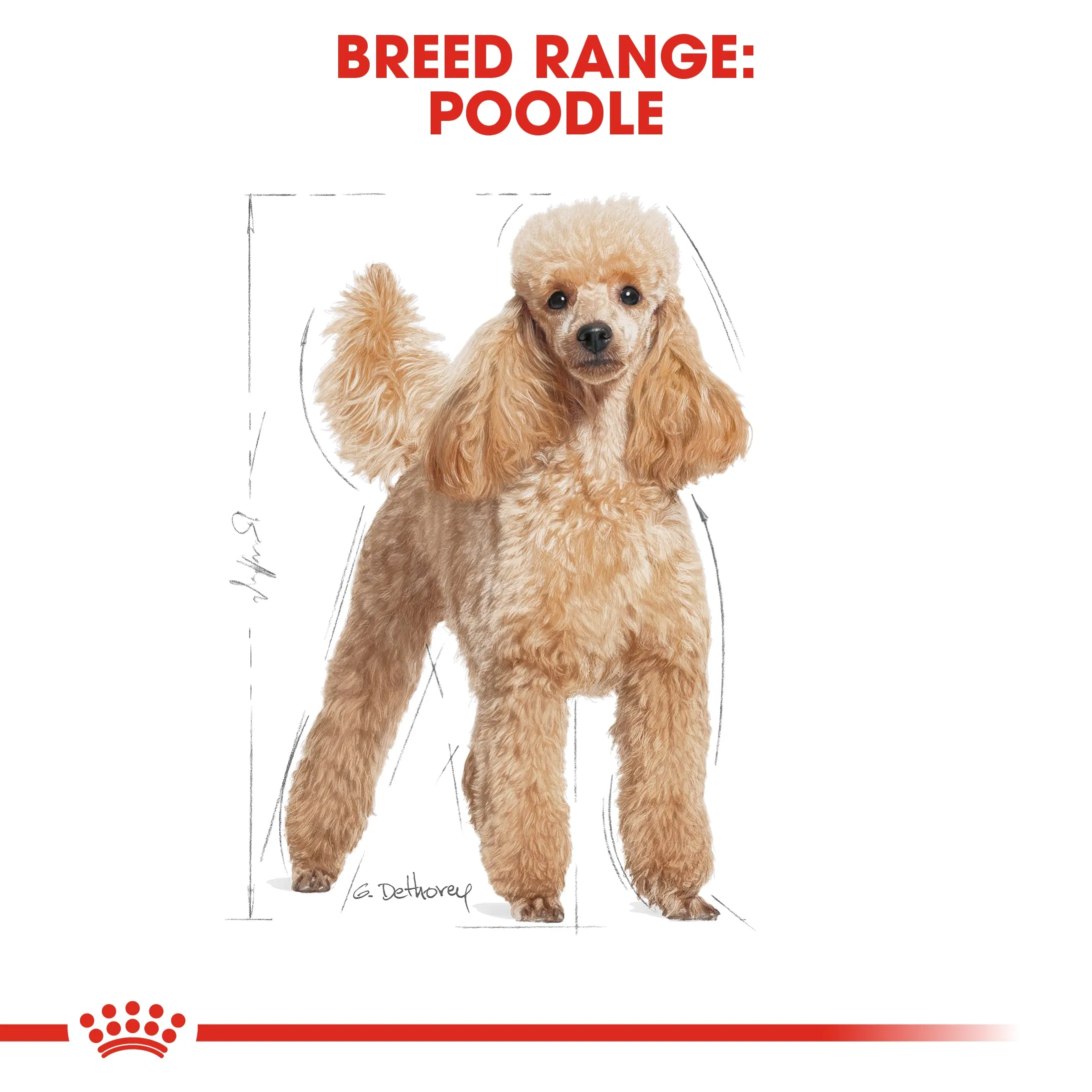 Royal Canin Dog Pouch - Poodle