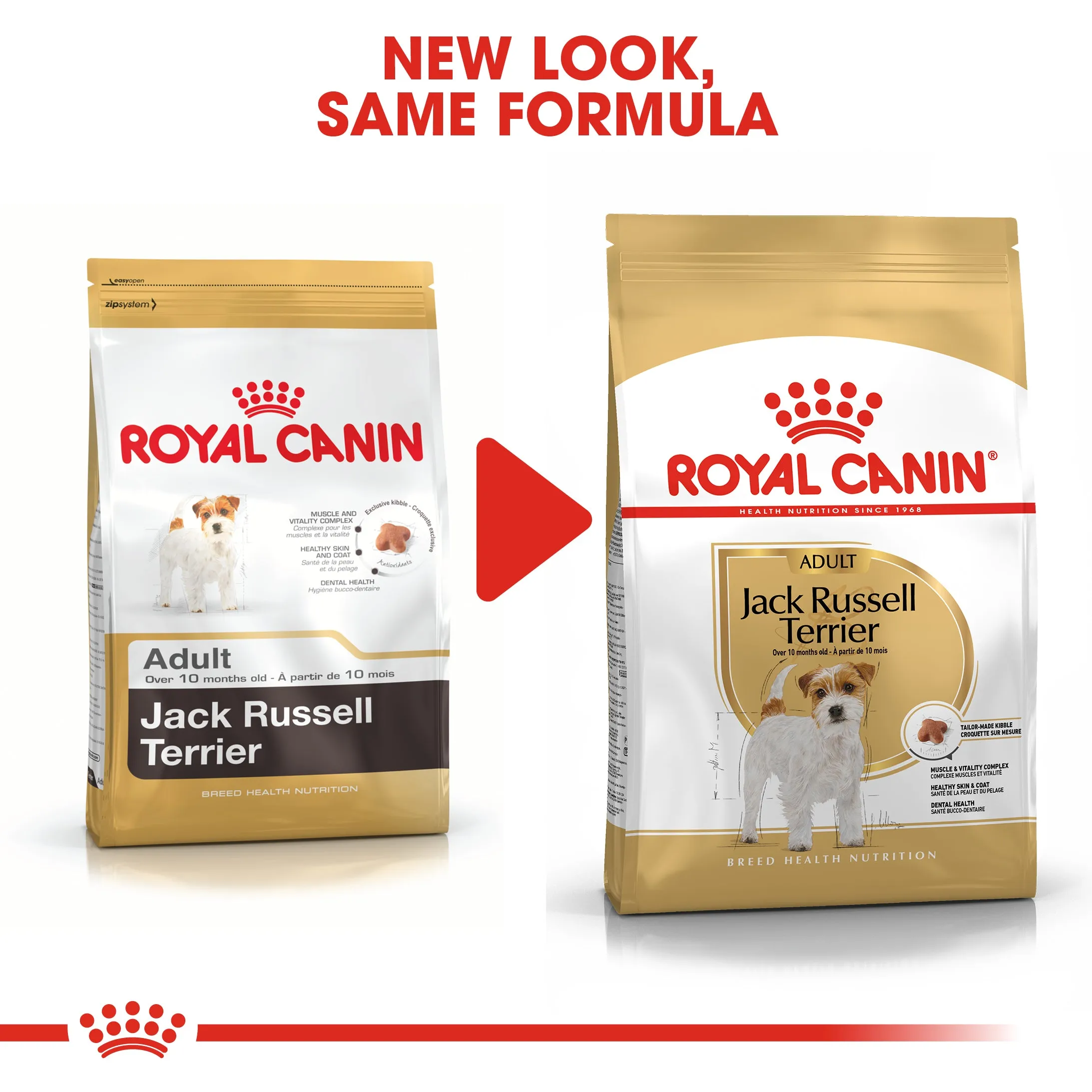 Royal Canin Jack Russell Adult