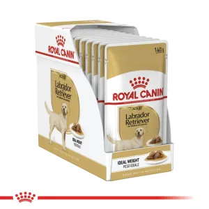 Royal Canin Labrador Pouches