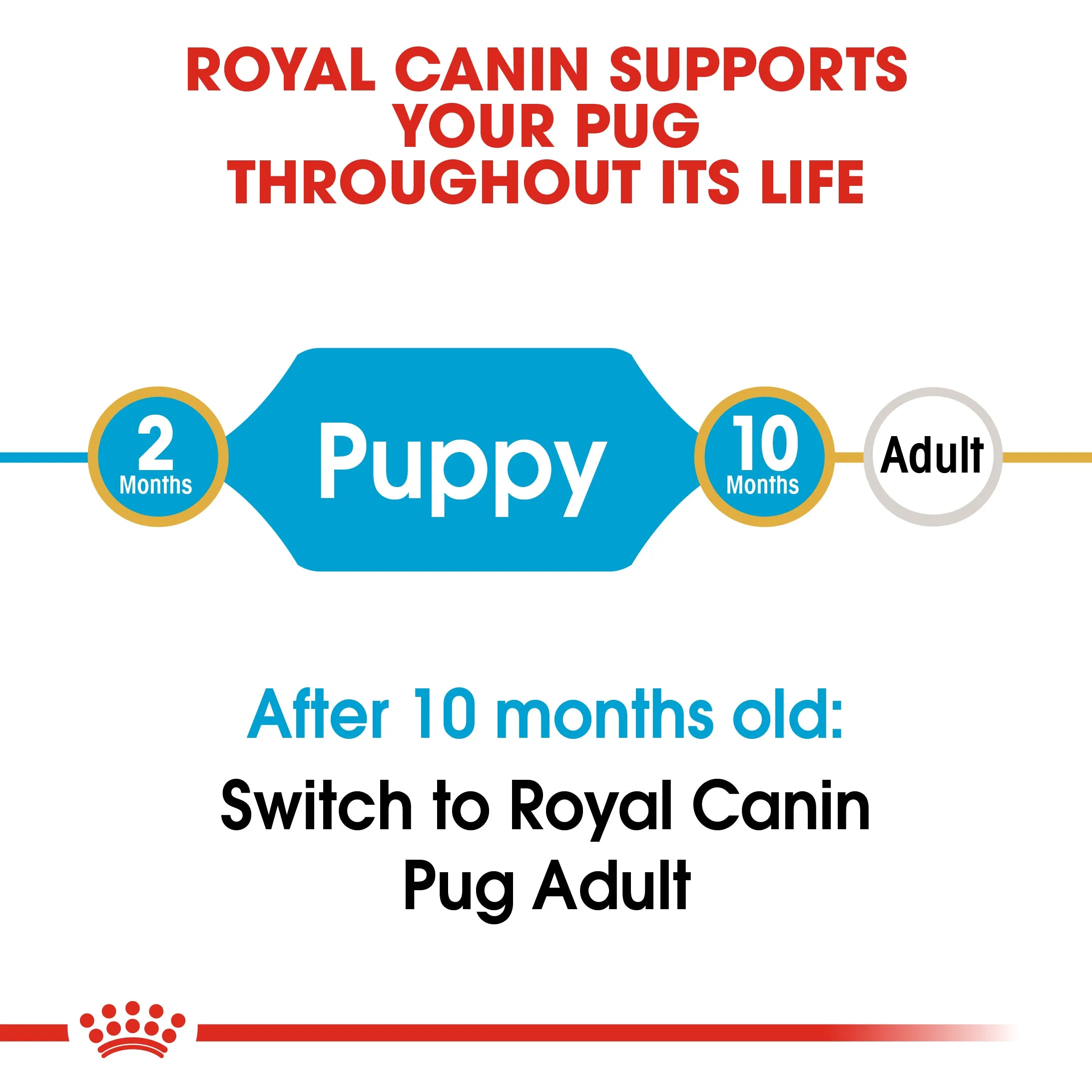 Royal Canin Pug Puppy/Junior