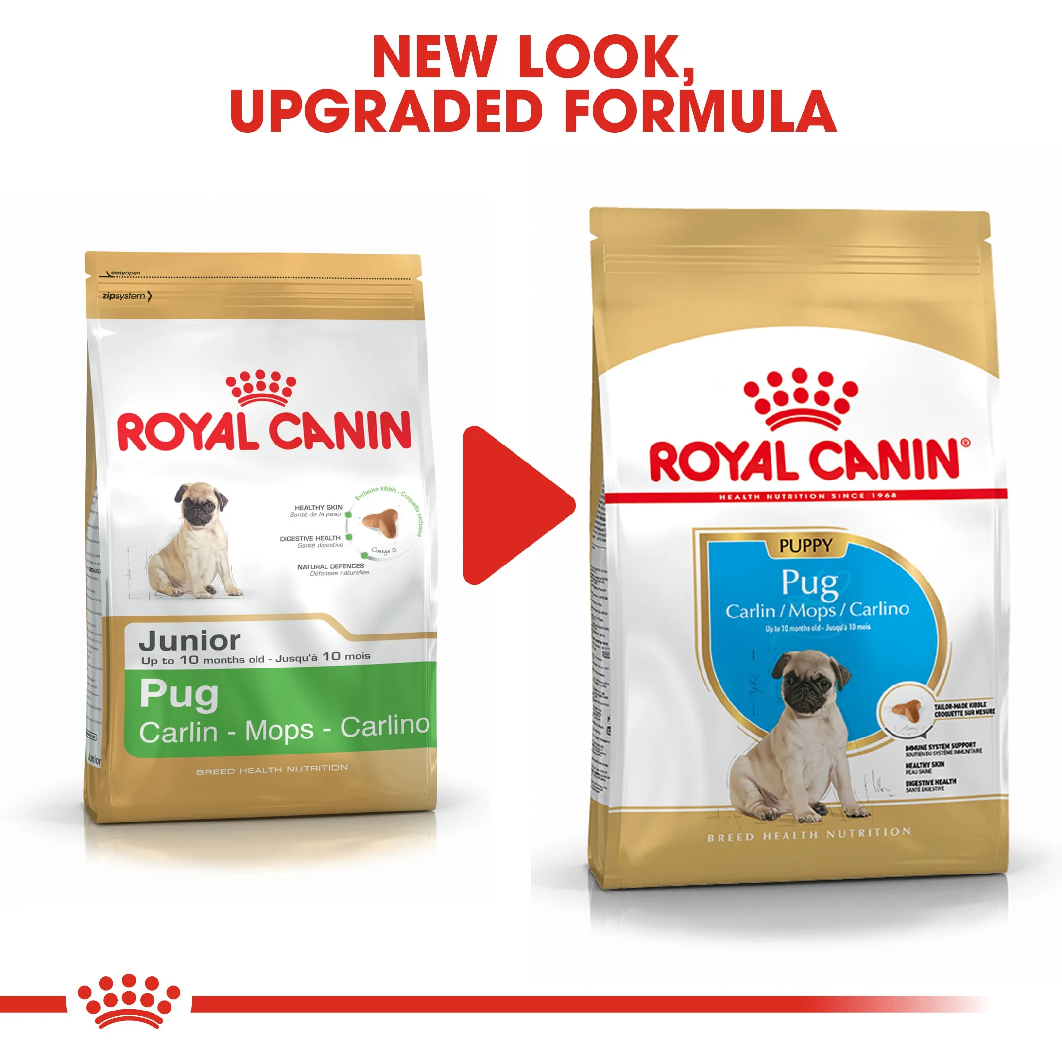 Royal Canin Pug Puppy/Junior