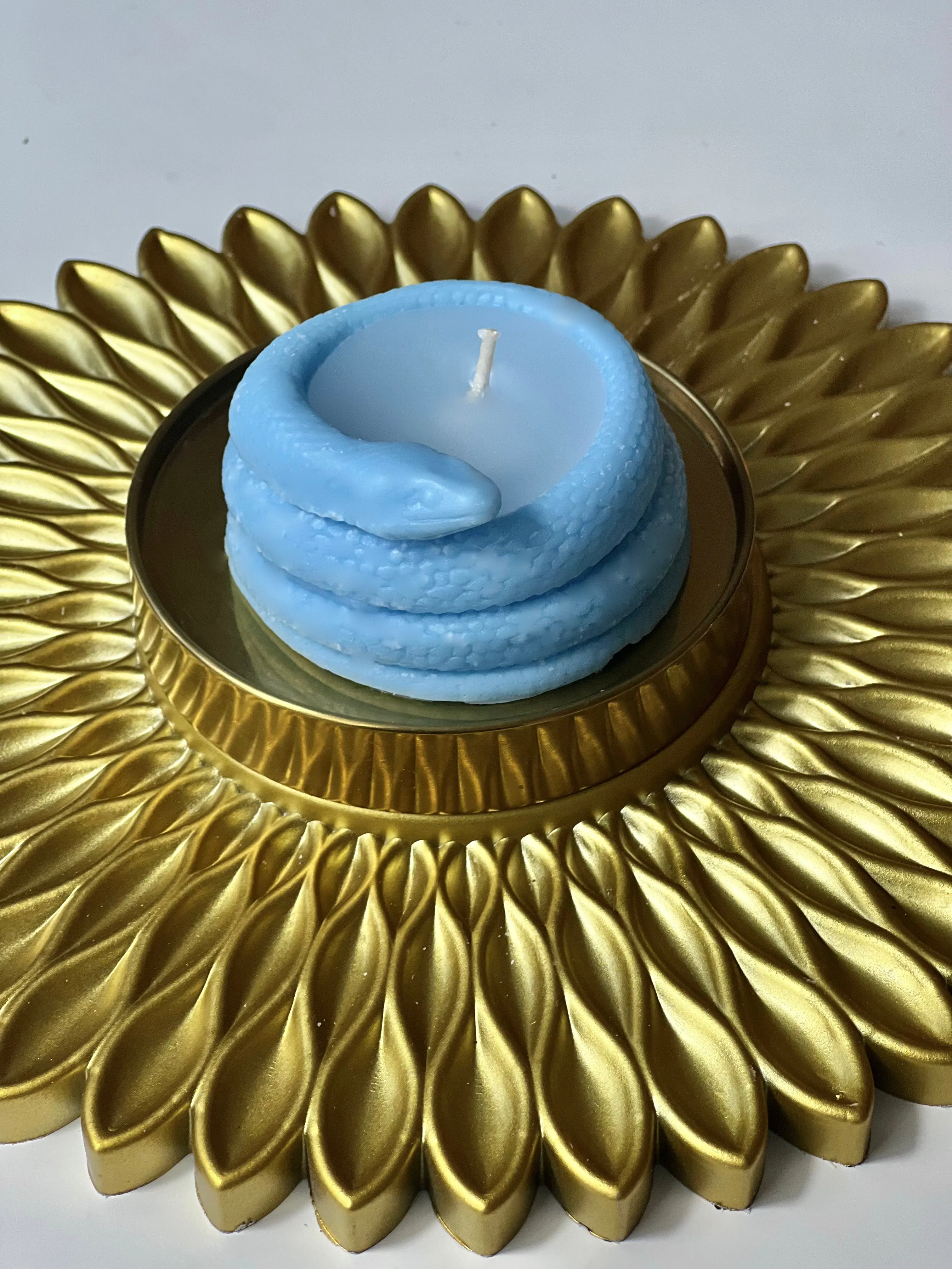 Snake Soy Wax Candle, Unique, Serpent, Light, Twisted, Decorative, Coiled, Wick, Unconventional, Lighting, Novelty, Serpentine, Glow, Sculptural, Artistic, Sinuous, Intricate, Design, Whimsical, Stylish,