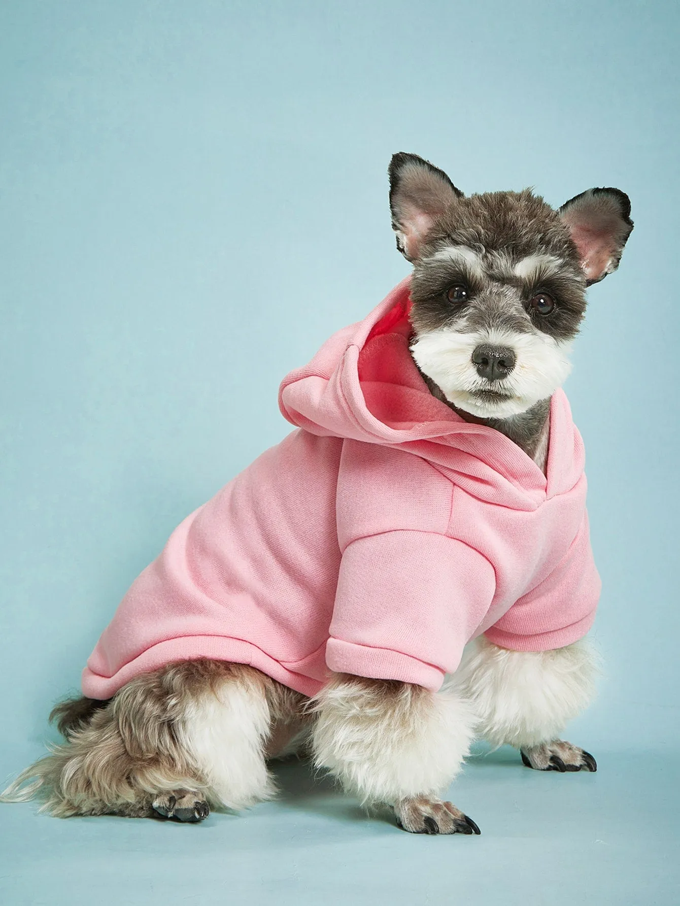 Solid Color Pet Hoodie